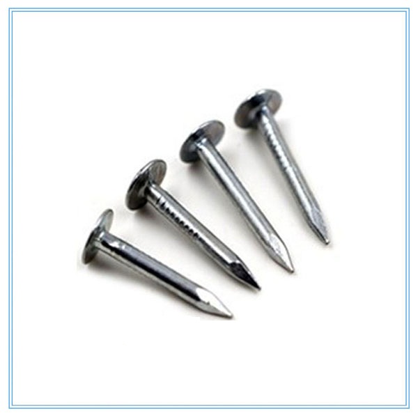 Felt nails Roof. 13mm -> 50mm Galvanised clout nails Extra large head 1kg