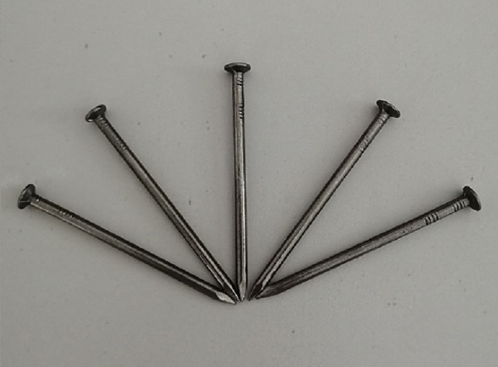 Bright Polished Common Wire Nail