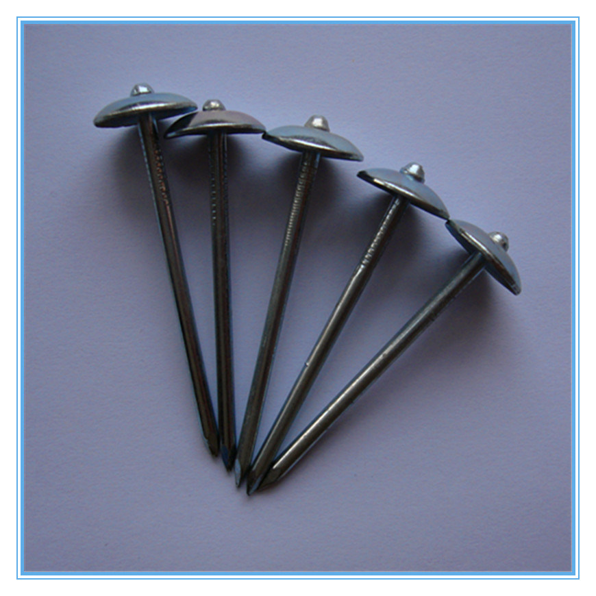 Umbrella Head Roofing Nail