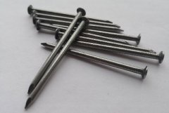 common wire nail